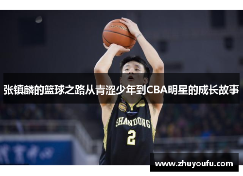 张镇麟的篮球之路从青涩少年到CBA明星的成长故事